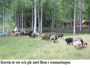 vara far 1.jpg